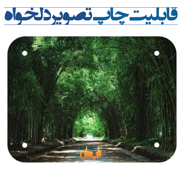 رادیاتور برقی شیشه ای تاپ سان 60*80 کد D910 ساده