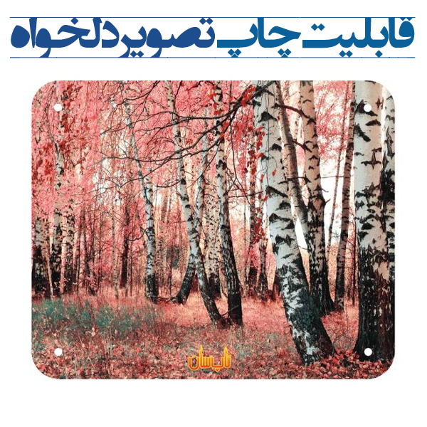 رادیاتور برقی شیشه ای تاپ سان 90*110 کد D906 ساده